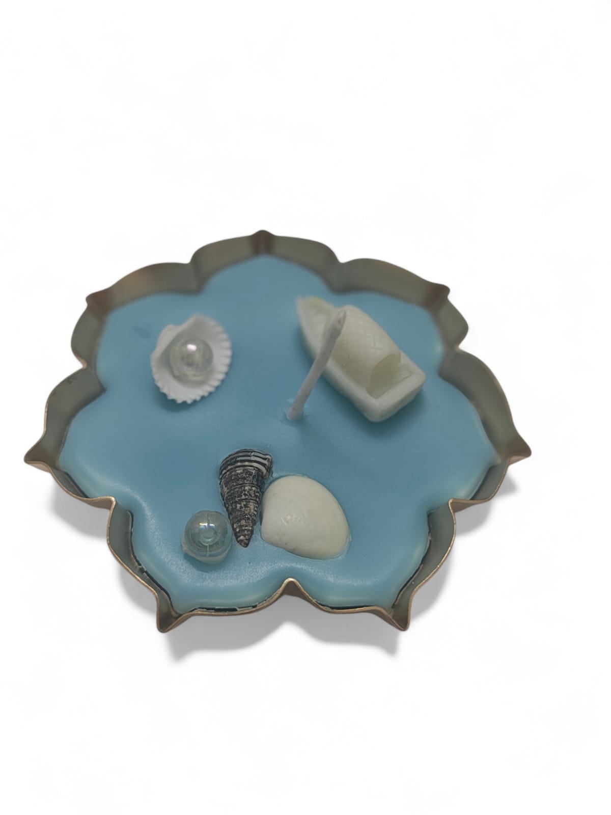 WhatsApp Image 2026-02-18 at 19.55.23