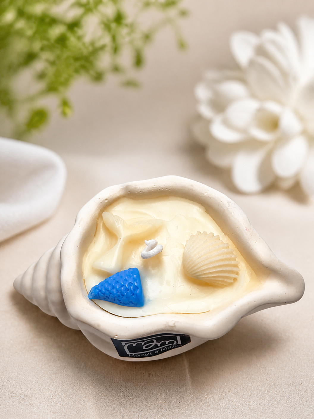 Shell Candle - Image 3