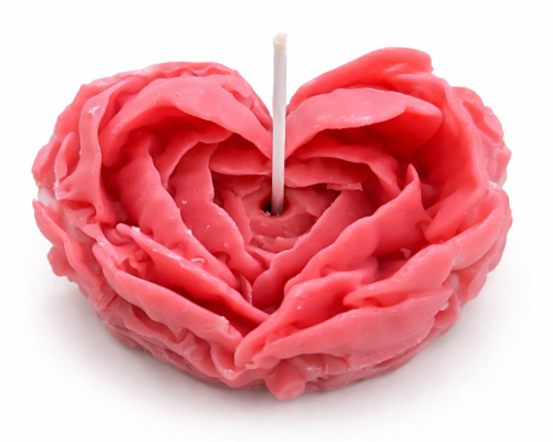 ChatGPT Image Mar 4, 2026, 01_01_18 PM