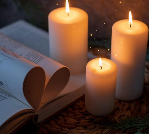 pexels-photo-14766337-14766337-scaledbbb